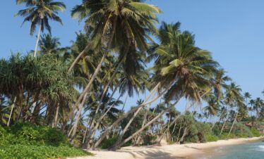 Sri Lanka: 10-Day Adventure